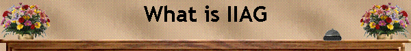 What is IIAG